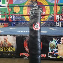 Kickboxing Punching Bag 