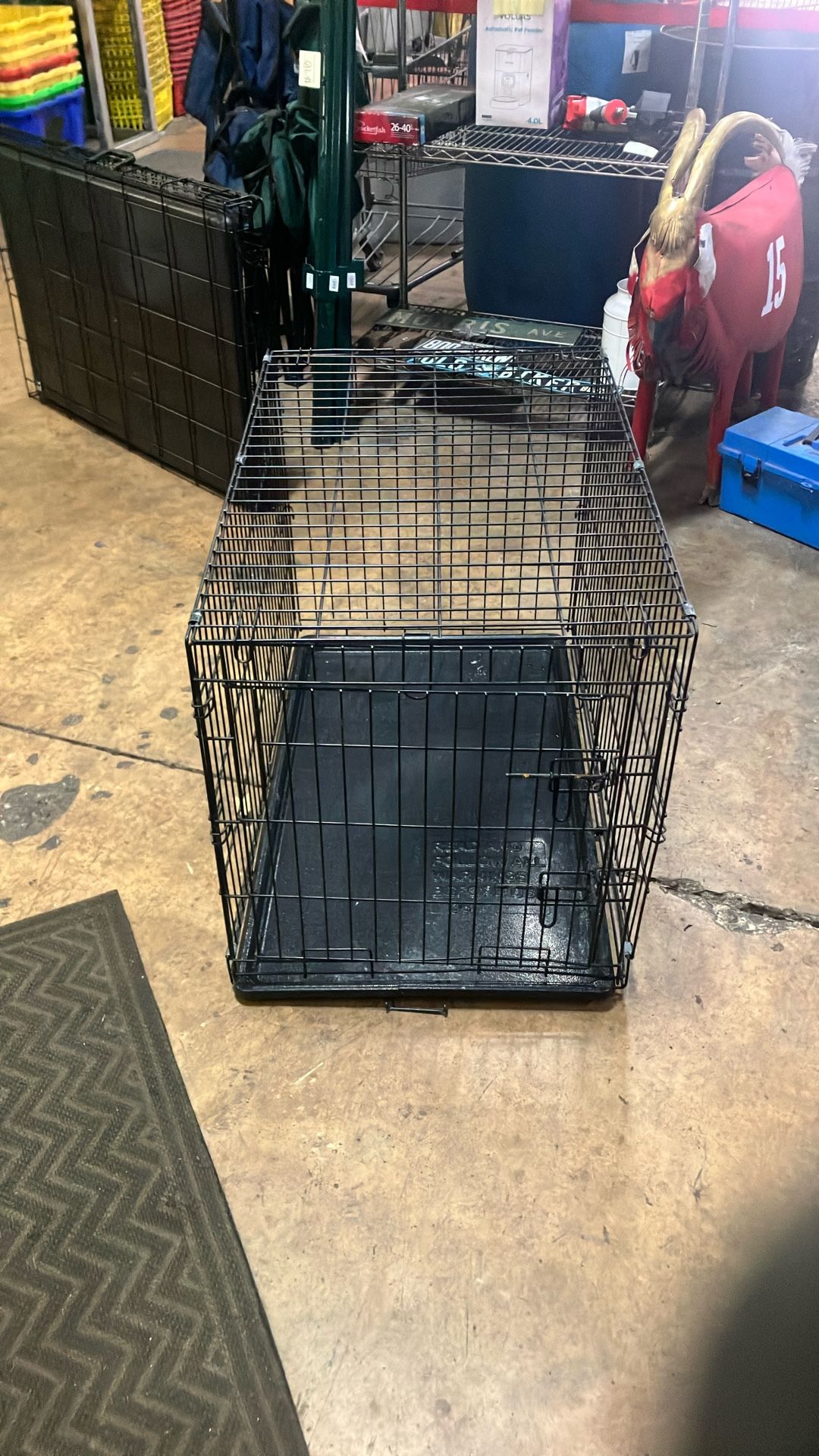 Medium Dog Cage