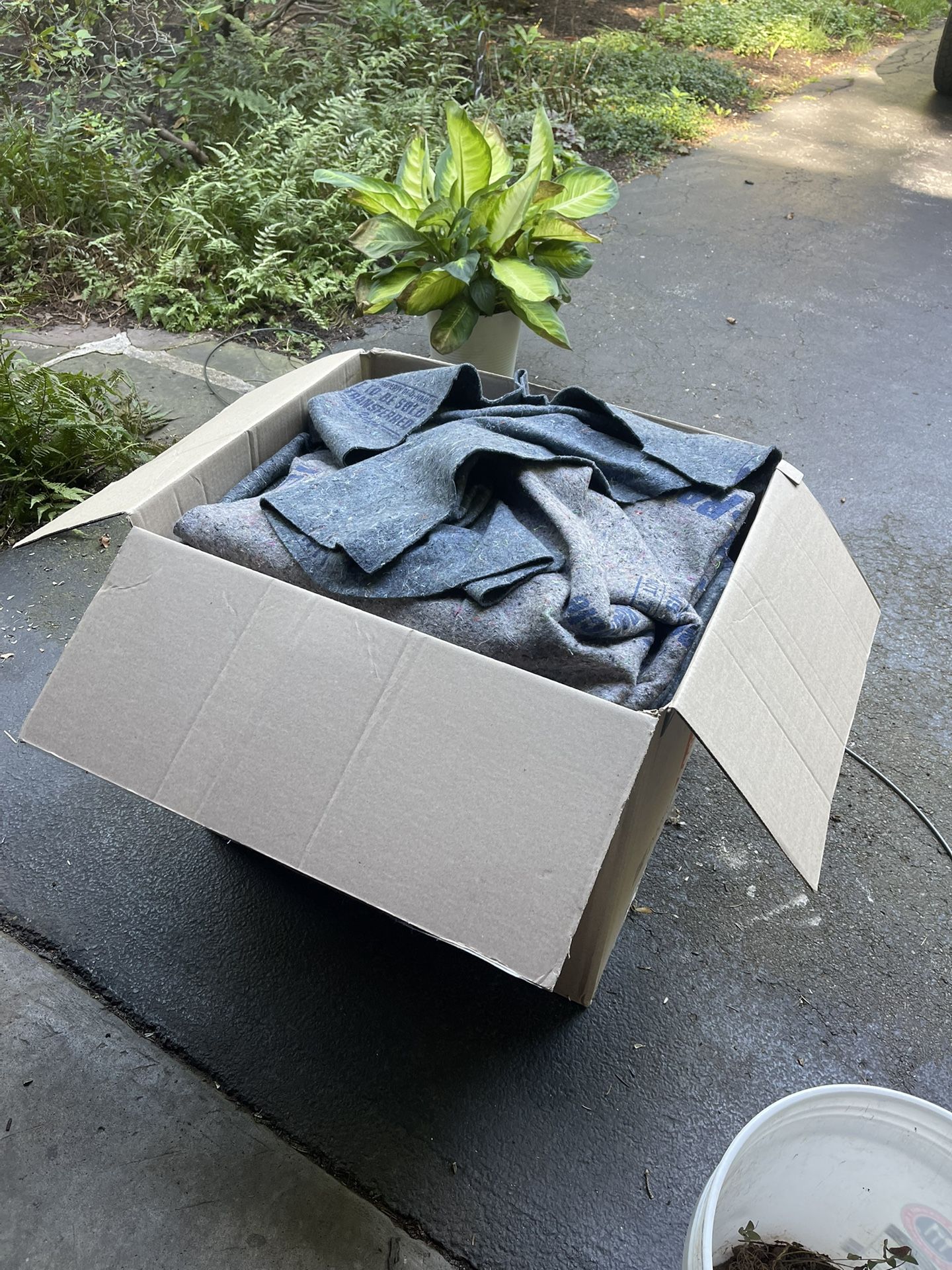 *FREE* Moving Blankets