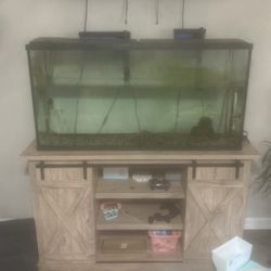 Aquarium 