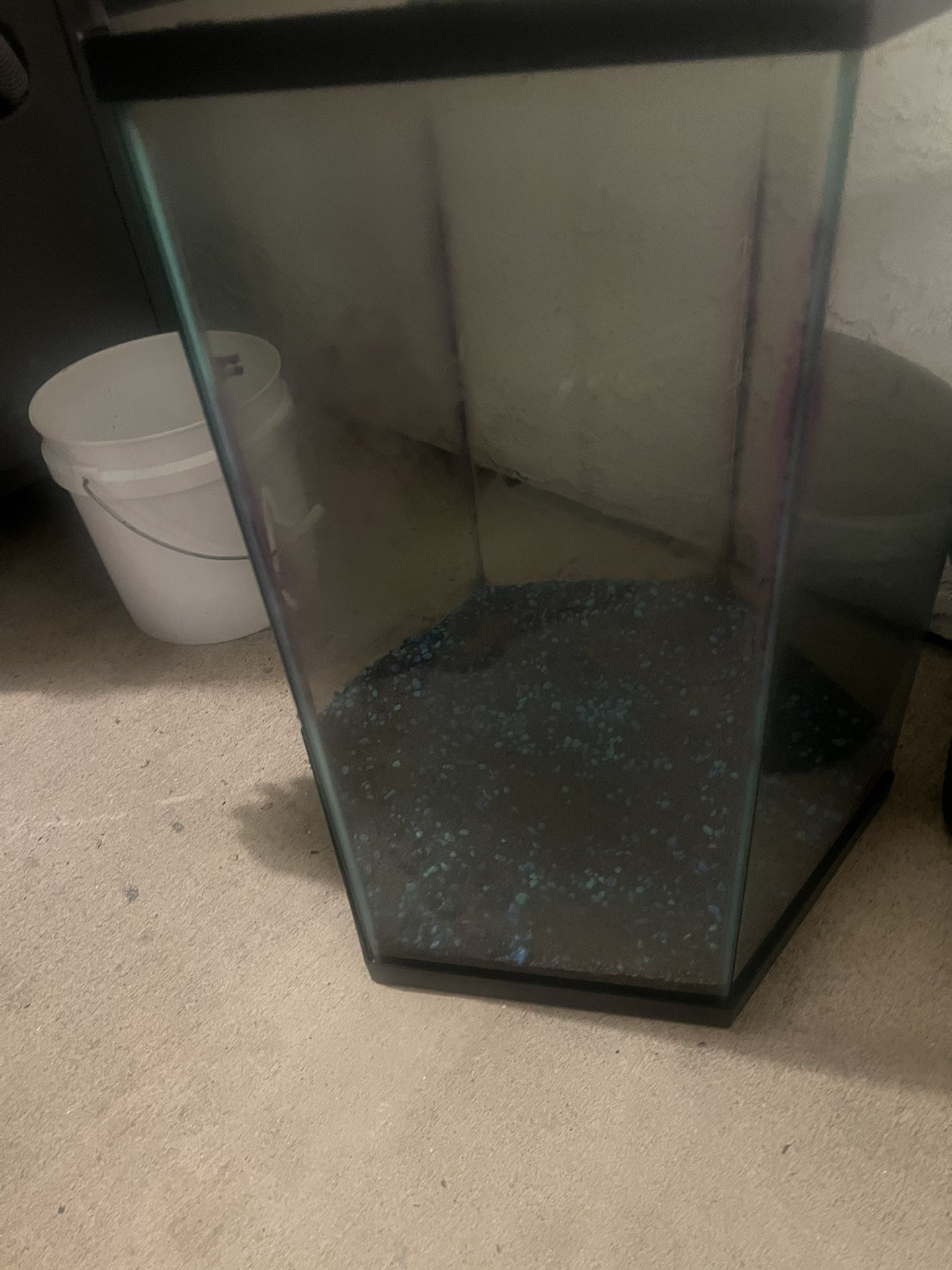 20 Gallon Fish Tank 