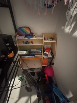 Toys and Book organizer