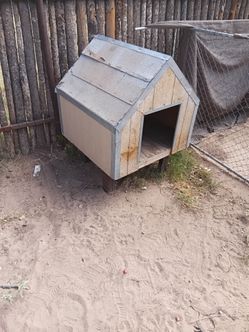 Dog house