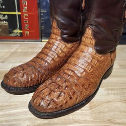 Black Jack 10.5 D Hornback Caiman
