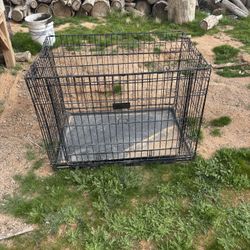 XL Kong Cage