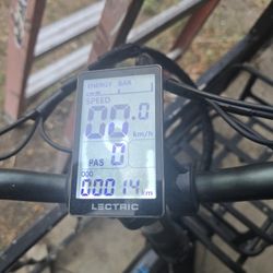 Electric Bike 