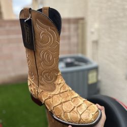 Honey SQ toe Pirarucu