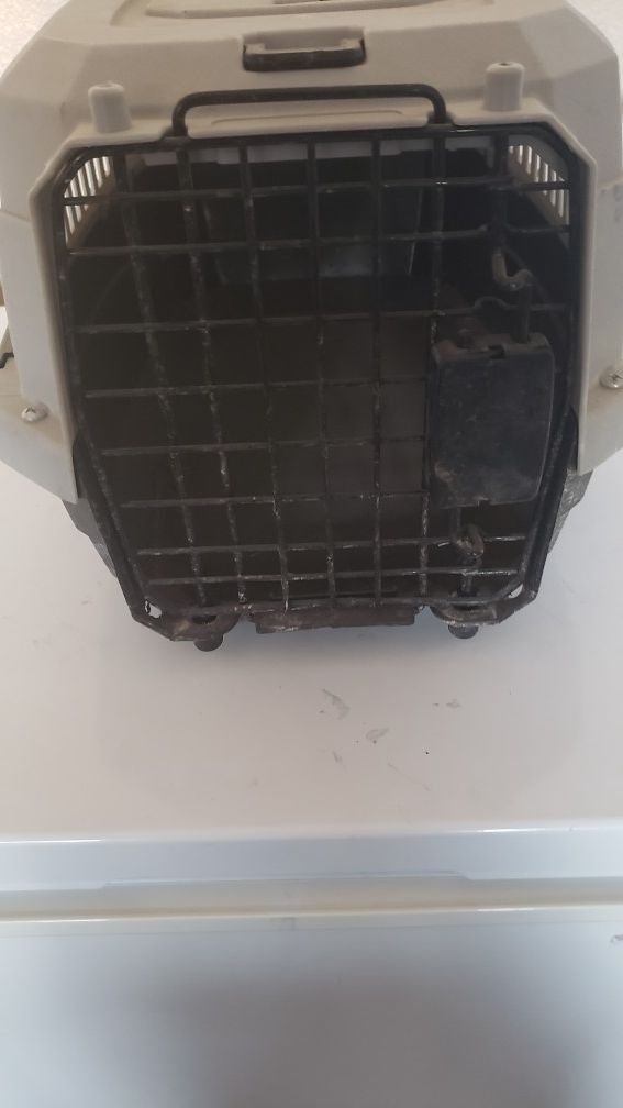 Dog carrier American kennel club