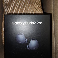 Galaxy Bud 2 Pro