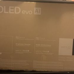 LG OLED EVO AI 55”