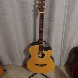 Sequoia Guitar