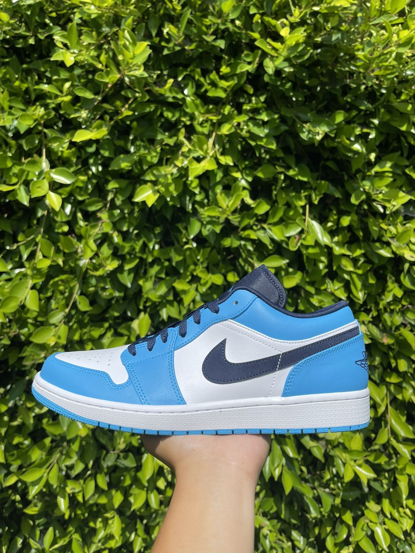 Air Jordan 1 Low UNC Powder Blue Size 12 for Sale in Hawthorne, CA - OfferUp