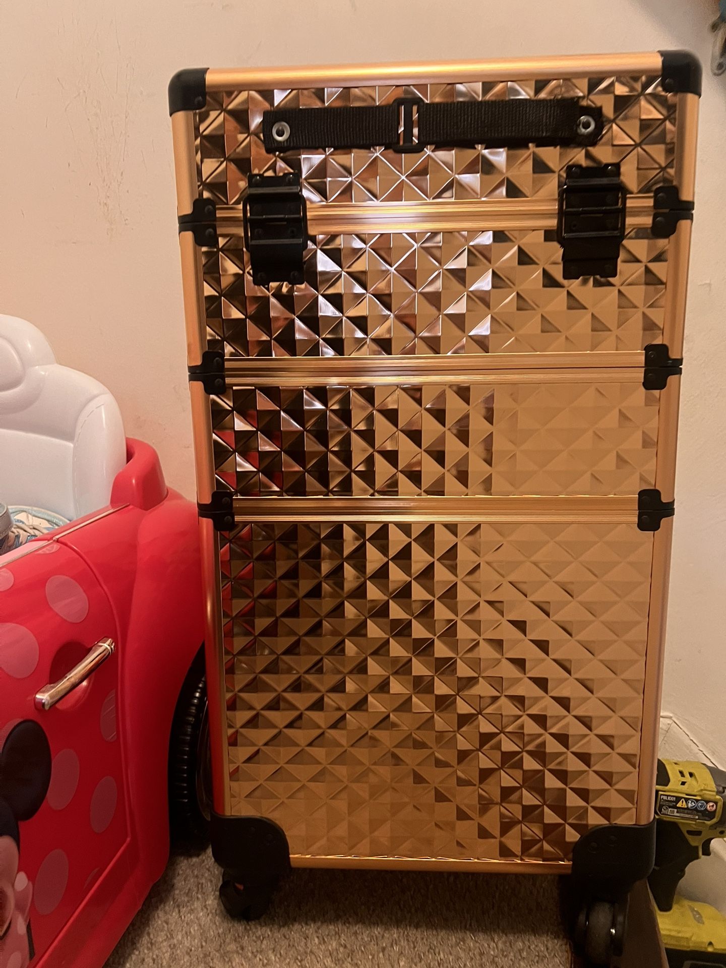 Professional Rolling Train Case