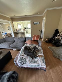 Sectional Couch