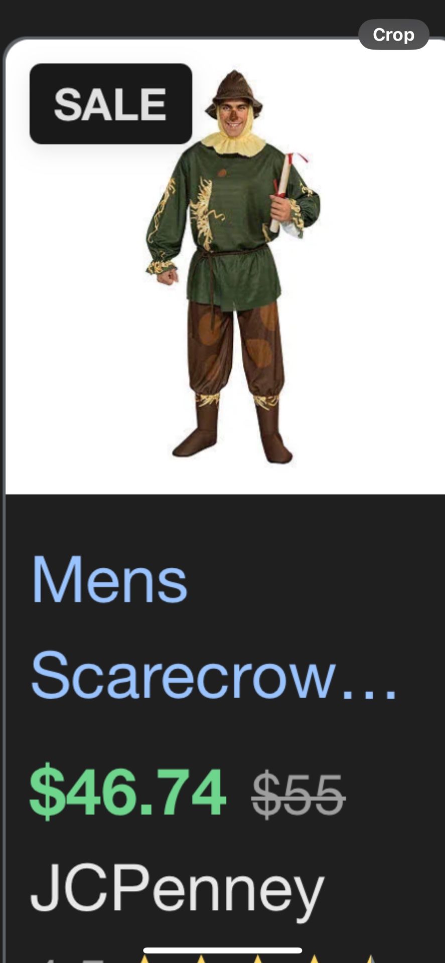 Scarecrow costume extra large