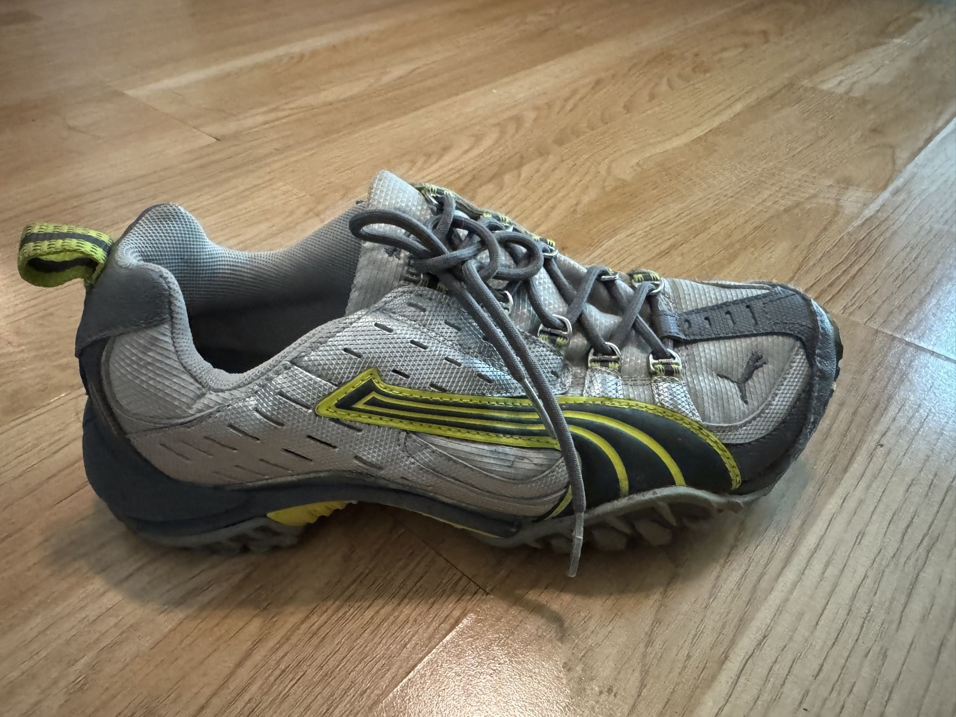 Puma Hiking Shoes