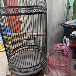 Bird Cages 