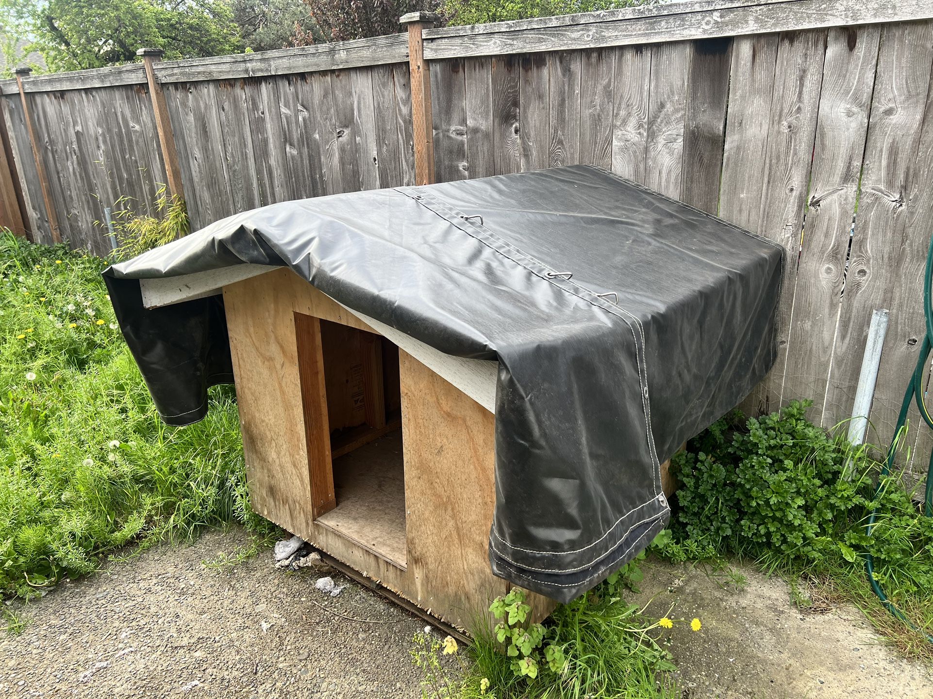 Dog House