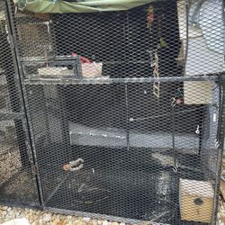 Big Cage to breed birds double door If Any Question call (contact info removed) 