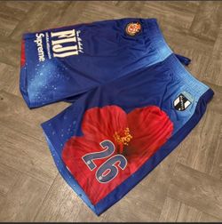 Supreme Fiji shorts S