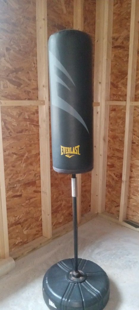 Everlast Punching /Kick Training Bag