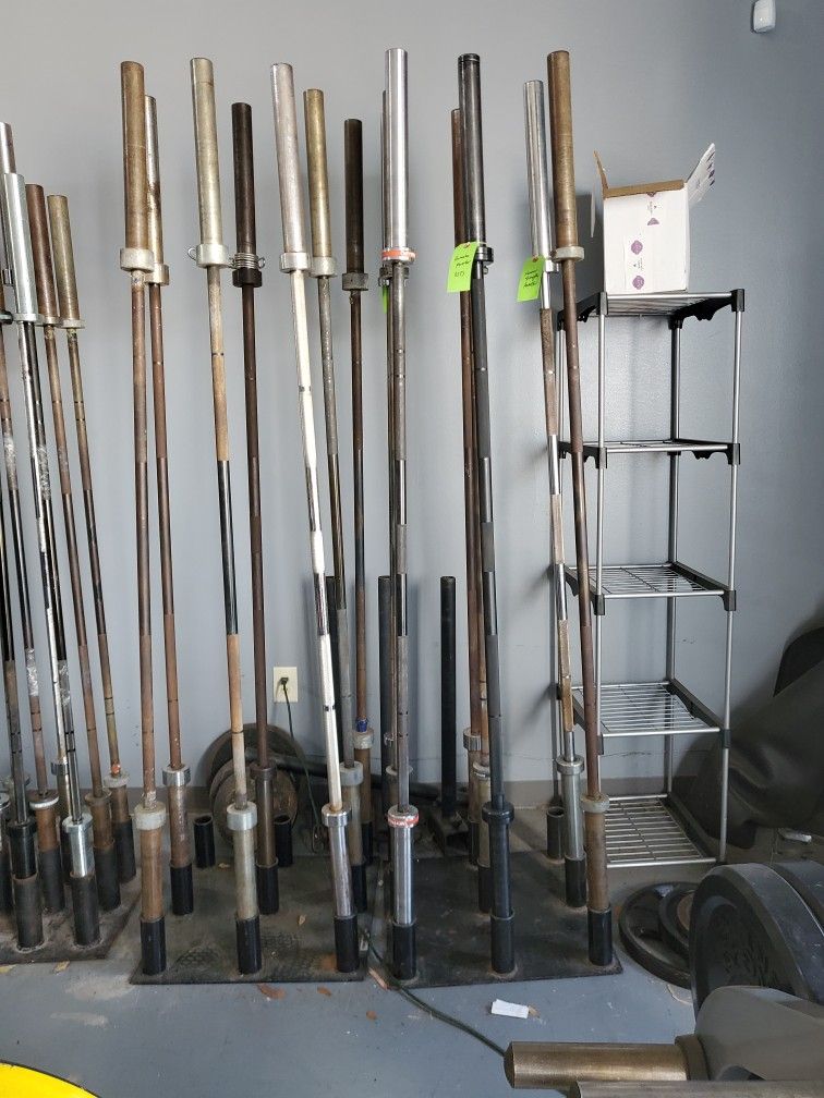Olympic Barbells (Mens & Womens)