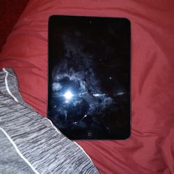 Working iPad Mini