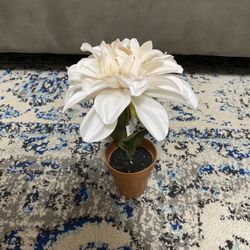 BRAND NEW MINI POTTED FLORAL 