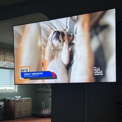 Samsung 65inch TV with Heavy Duty Wall Mount