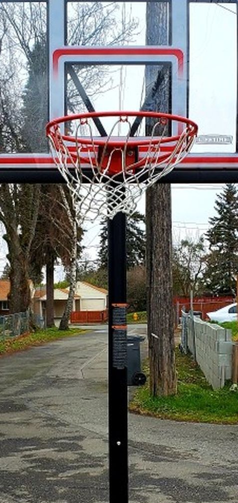 Basketball Hoop (Lifetime)