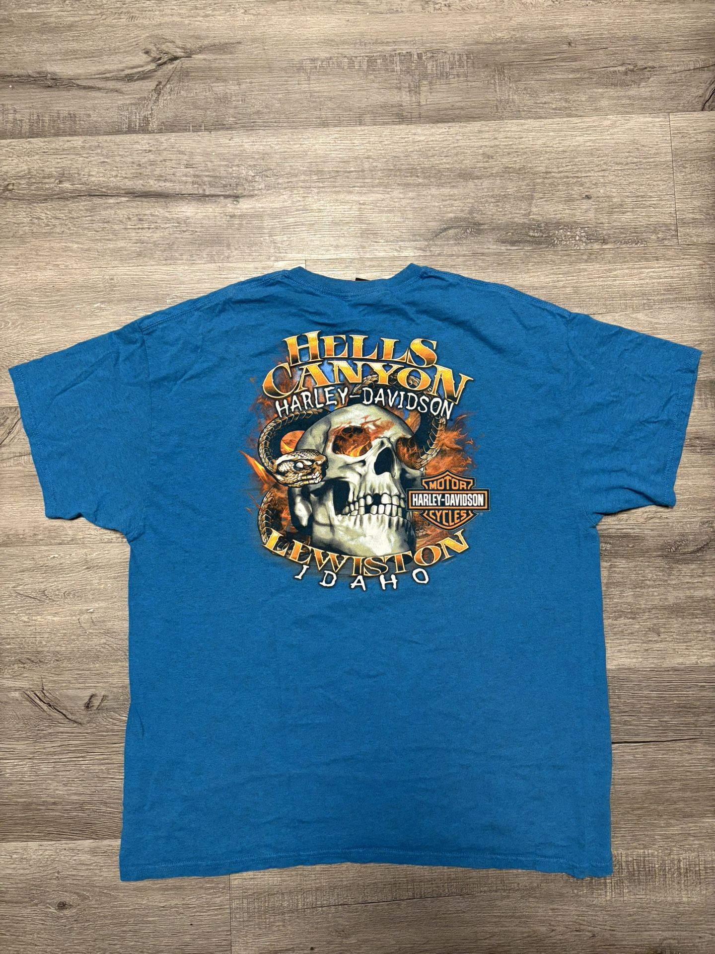 Harley Davidson T-shirt Mens XL Motorcycle Hells Canyon Idaho SKULLS Y2K #1152