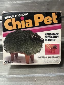 Chia Pet