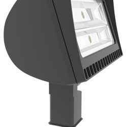 RAB LED Floodlight Model #fxled78sf - outdoor mounts on tenon.  Total of 3 - $150 each