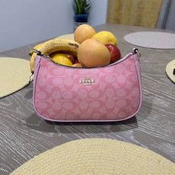 Coach Teri Shoulder Bag