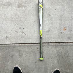 Louisville Bat