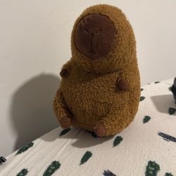 Capybara Plush