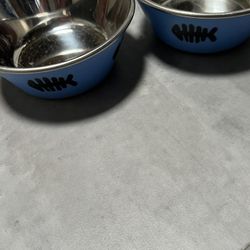 Cat Bowls - Water & Food Dish 😸🥣🥣