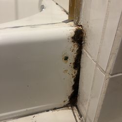 repair and finishing