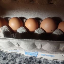 Fresh Eggs For 6 dollars A Dozen 