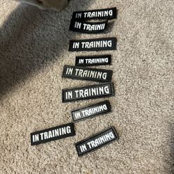Dog Patches- “in Training”