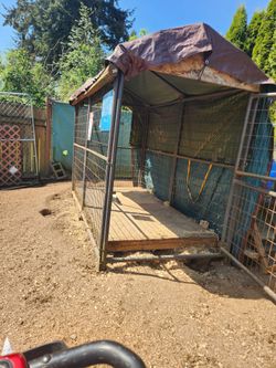 Dog Kennel / Chicken Coop