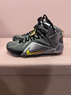 Lbj Sneakers Size 10