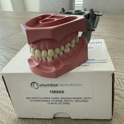 Columbia Dentoform Model – 1M860 (Hard Gingiva, 32 Removable Ivorine Teeth)
