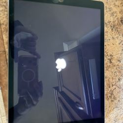 iPad PRO 256 + Targus Swivel Storage Case