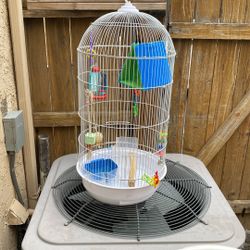 Bird Cage 