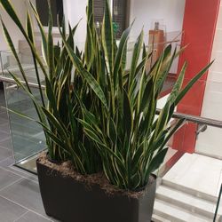 Rectangler Indoor Planter (Plants Not Included)