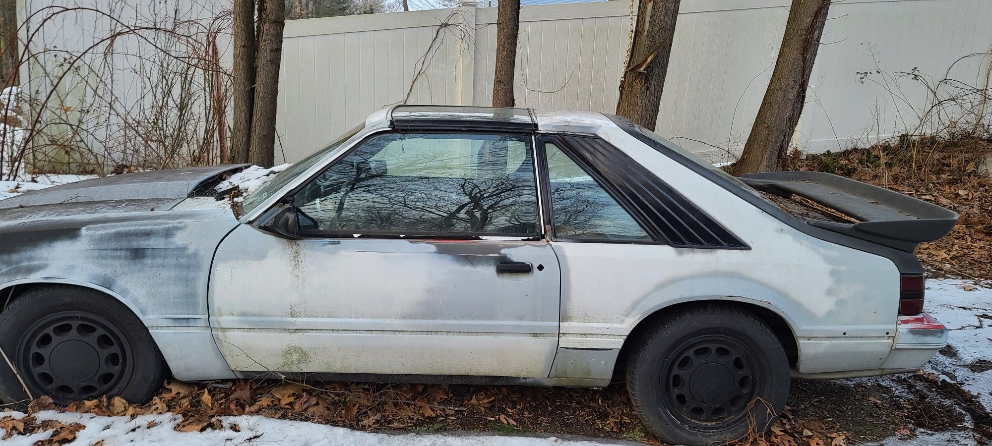 1985 Mustang Gt 5.0 Parts Car