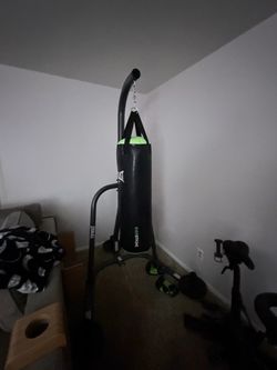 Everlast Punching Bag w/gloves