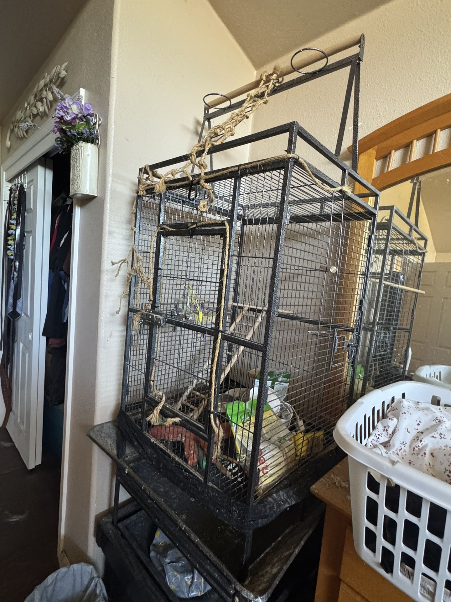 Bird Cage