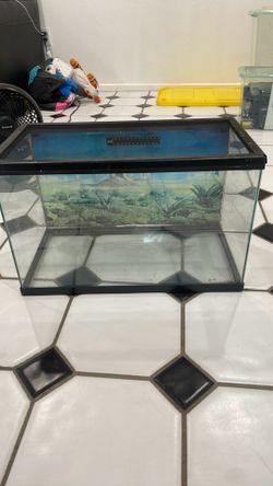 10 gallon tank